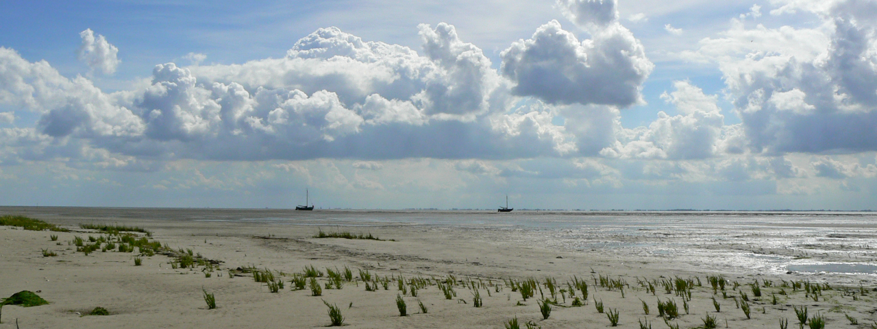 (c) Np-schiermonnikoog.nl