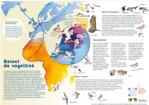 Beleef De Vogeltrek NP Schiermonnikoog Beleef De Vogeltrek NP Schiermonnikoog